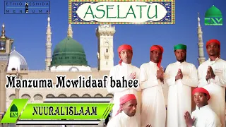 Aselatu Mowlidaf Kan Bahee Manzumaa Afaan Oromo Garee IFAA ISLAAMAA NUURAL ISLAAM Jemea  Aselatu Mowlidaf Kan Bahee Manzumaa Afaan Oromo Garee IFAA ISLAAMAA NUURAL ISLAAM Jemea