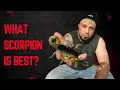 Lagu What scorpion species is best for a beginner? | Let's talk #1