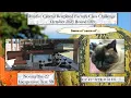 CZ 457 MTR October RD 03B Rimfire Central Restricted Factory Class Challenge inexpensive ammo
