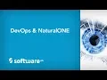 DevOps NaturalONE