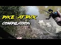 Pike Attack Compilation