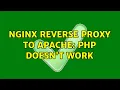 nginx reverse proxy to apache php doesn t work
