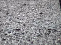 Bon Iver- Team (my music video for)