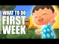 Your First Week in Animal Crossing New Horizons - First Things to Do Tips
