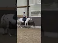 Download Lagu Ik moet m’n handen echt eens rechtop houden😭😂😂 #horse #pony #fypシ゚viral