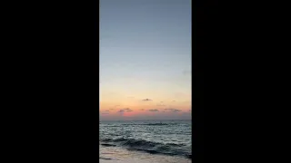 لو الإنسان يقدر يعيش كده علطول    معايا في يومي  بهاء سلطان   دندنها