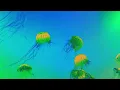 Pretty Lights - Sweet Long Life (Bonus Track) - A Color Map of the Sun