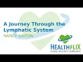 Download Lagu A Journey Through the Lymphatic System (Nancy Sinton)