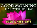 Happy Thursday Status Thursday Blessings Good Morning Happy Thursday