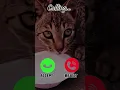 Download Lagu Mi telephone ringtone😯 #ringtone #nadaderingtelepon #smartphone #music #ringtones #song #ringintone