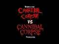 Cannibal Corpse - Hammer Smashed Face [D standard]