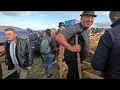 Download Lagu Târgul de La Poiana Sibiului -2025.Crescatori de Oi 🐑 și 🐎 Cai din Toată România 🇹🇩-Felicitări 