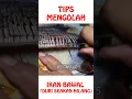 Download Lagu Short Tips Mengolah Ikan Bawal Air Tawar