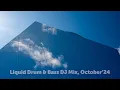 Download Lagu Liquid Drum \u0026 Bass DJ Mix, October'24