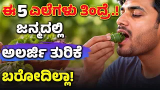 ಪದೇ ಪದೇ ಸ್ಕಿನ್ ಅಲರ್ಜಿ ಬರುತ್ತಿದೆಯಾ? IgE ಜಾಸ್ತಿ ಆಗಲು ಇದೇ ಕಾರಣ! IgE Allergy Treatment In Kannada