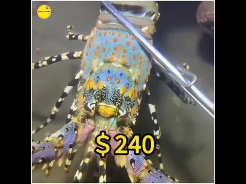 😱இதை கடைசிவரை பாருங்கள்!!!!!!  #shortfeed #fishingvideo #fisherman