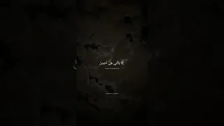 حالات واتس قران كريم محمد صديق المنشاوي 