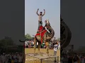 Download Lagu Camel dance 2024||wedding dance camel Rajasthan 2024||#youtube #dance #dj #viralvideo #ytshorts