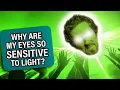 Why Are My Eyes So Sensitive to Light? | Knock Knock Eye