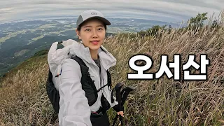[Hiking]  충남 오서산 등산 | 가을 억새 산행지 추천🌾고즈넉한 서해안 바라보며 억새가 춤추는 능선을 걸어보자! | 홍성 상담마을 코스 썸네일