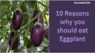 eggplant nutrition facts eggplant health benefits