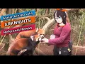 Download Lagu Alasan kenapa suka Arknights (referensi hewan)