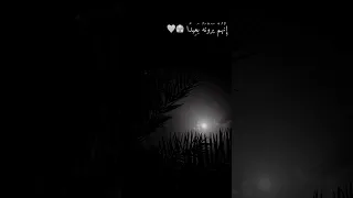 قرآن كريم بصوت ماهر المعيقلي حالات واتس أب 