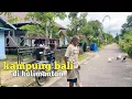 Het voelt alsof je echt op Bali bent, dit is hoe een Balinees dorp in Kalimantan eruit ziet