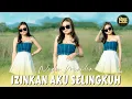 Download Lagu Nadin Maulia - Izinkan Aku Selingkuh (DJ Remix)