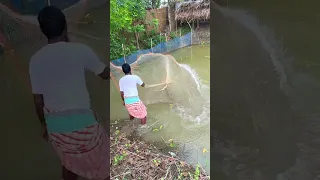 Village fishing video - MR Fishing Life