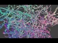 LIVENODING 982 SV Advanced Multiple Curve Array with Python Script