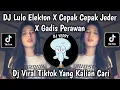 DJ LULO ELEKTON X CEPAK CEPAK JEDER X GADIS BUKAN PERAWAN SLOWED VIRAL TIKTOK TERBARU 2025