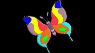 كنت صاحبه فراشه زمان قناه عصافير الجنه 