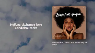 zebinho wena wedwa official lyric video