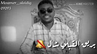 جادالله الصديق 