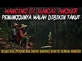 Download Lagu MANCING DI SUNGAI ANGKER HANTUNYA MALAH TAKUT - cerita mistis