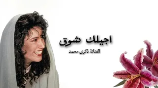 اجيلك شوق   الفنانة ذكرى محمد دندنها