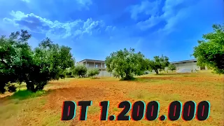 مزرعة عملاقة بها فيلا و اسطبل للبيع في ضواحي الحمامات في تونس بسعر مميز ل7هكتار 