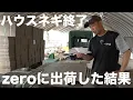 Download Lagu 【まさかの結果に！？】ハウスネギが終了！気になる反収は？