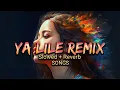 Download Lagu Ya Lile Remix Amr Mlih || Balti Ya Lili || Slowed Reverb Songs || Danish Rock Music)
