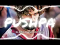 Lagu PUSHPA -( SLOWED AND REVERB ) __Subodh su2 __
