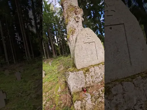 Жуткая находка в лесу.. Не знал, что оно там есть...