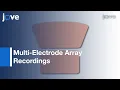 Multi-Electrode Array Recordings Neuronal Avalanches In Organotypic Cultures l Protocol