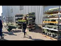 New Plant Load at the Garden Center Garden Answer