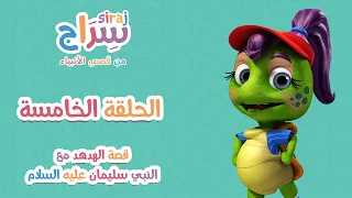 الحلقة الخامسة قصة الهدهد مع النبي سليمان عليه السلام 