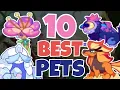 Top 10 Pets In Prodigy Actually Prodigy Math Game