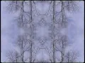 The Seven Fields of Aphelion 'Michigan Icarus'