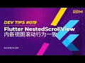 Flutter NestedScrollView