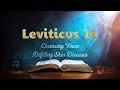 The Book of Leviticus Chapter 14 Cleansing From Defiling Skin Diseases NIV Bible