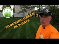 GreenShocker Fertilizer